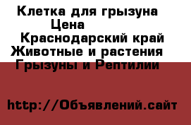 Клетка для грызуна › Цена ­ 1 000 - Краснодарский край Животные и растения » Грызуны и Рептилии   